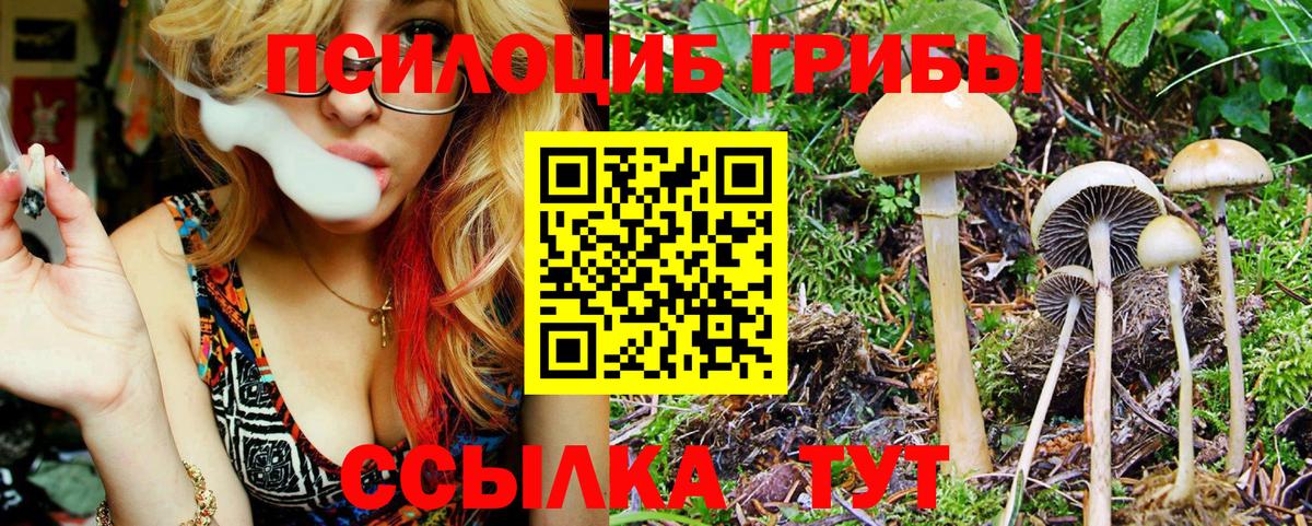 Псилоцибиновые грибы Psilocybine cubensis  Вход с VPN  Гай 