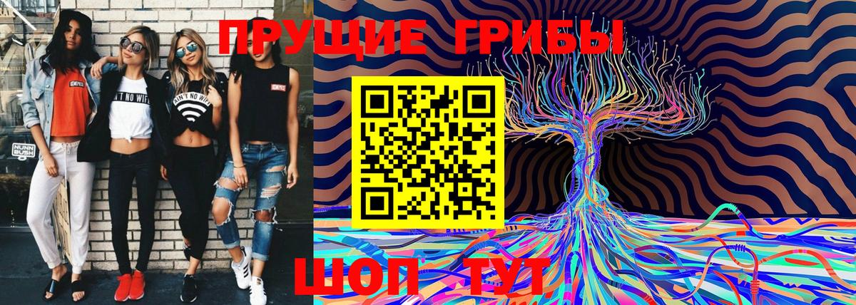 Галлюциногенные грибы MAGIC MUSHROOMS Гай